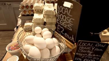 Goose eggs close up.